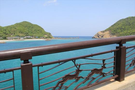 島山島（向小浦園地）-3