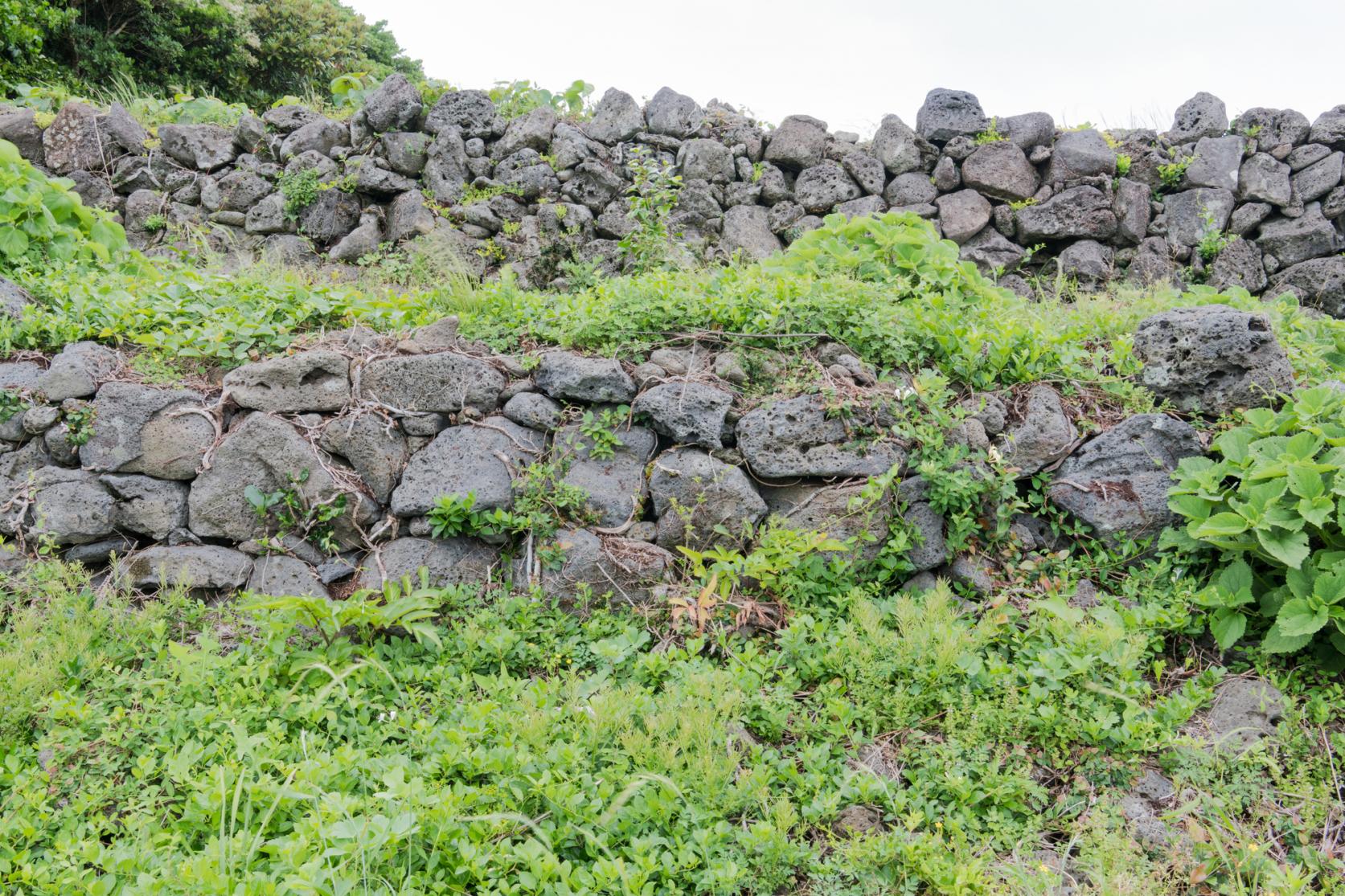 勘次ヶ城跡-4
