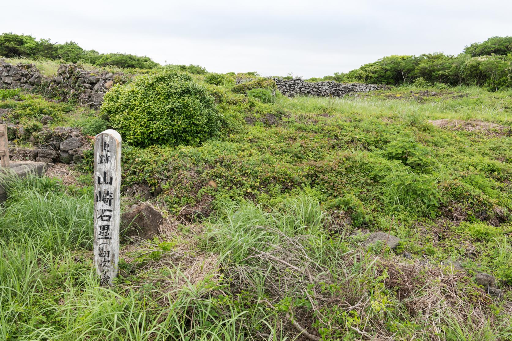 勘次ヶ城跡-3