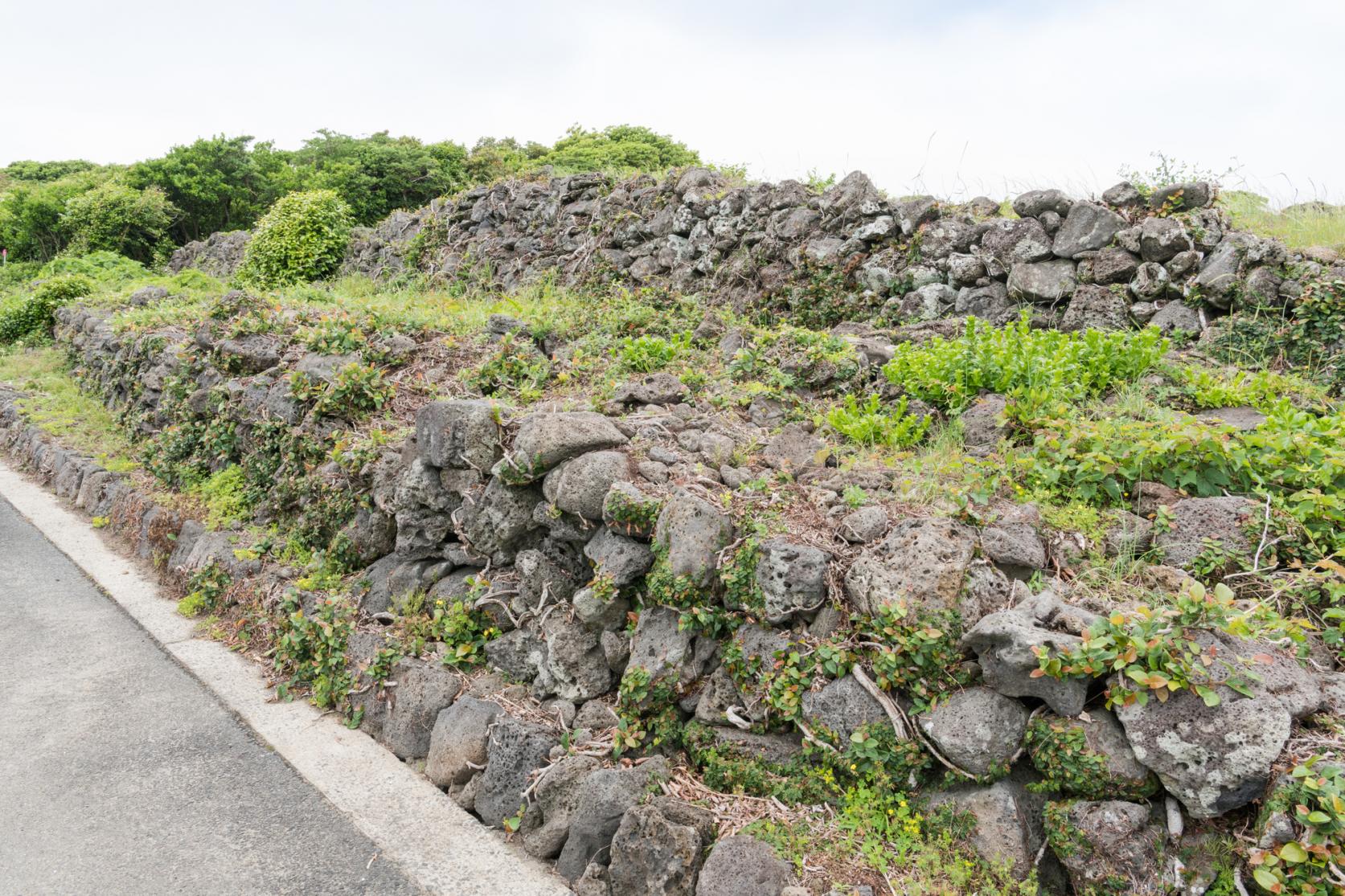 勘次ヶ城跡-5