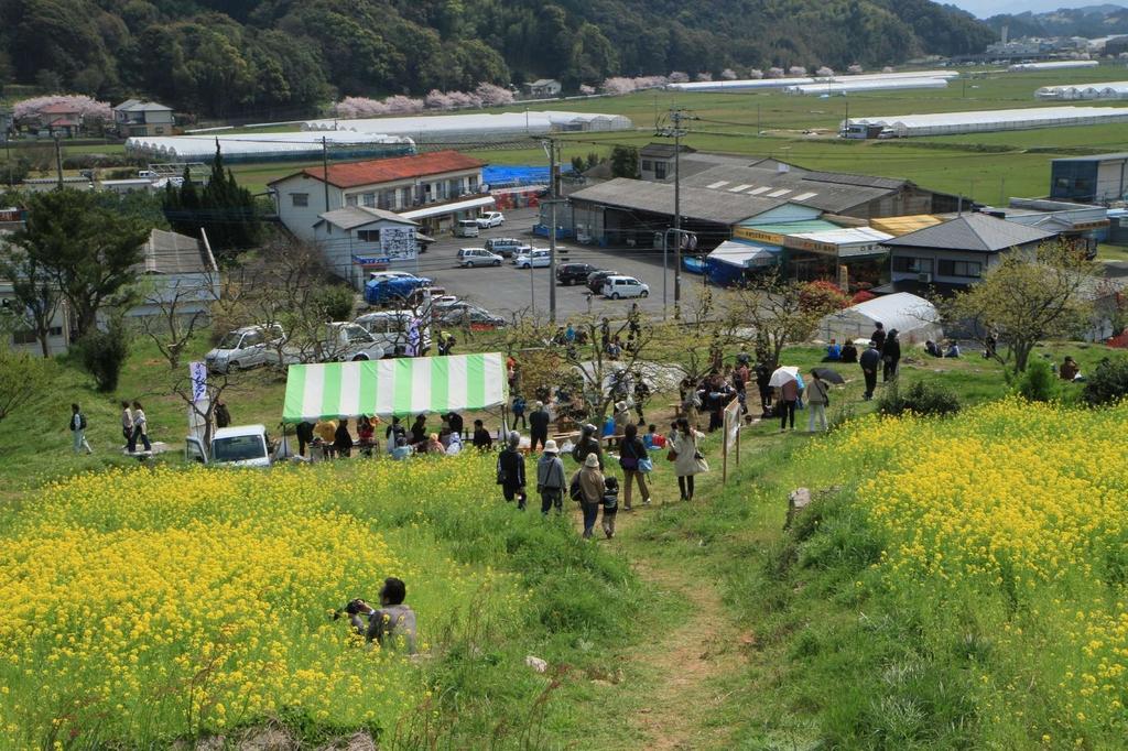 琴海花まつり イベント 公式 長崎観光 旅行ポータルサイト ながさき旅ネット