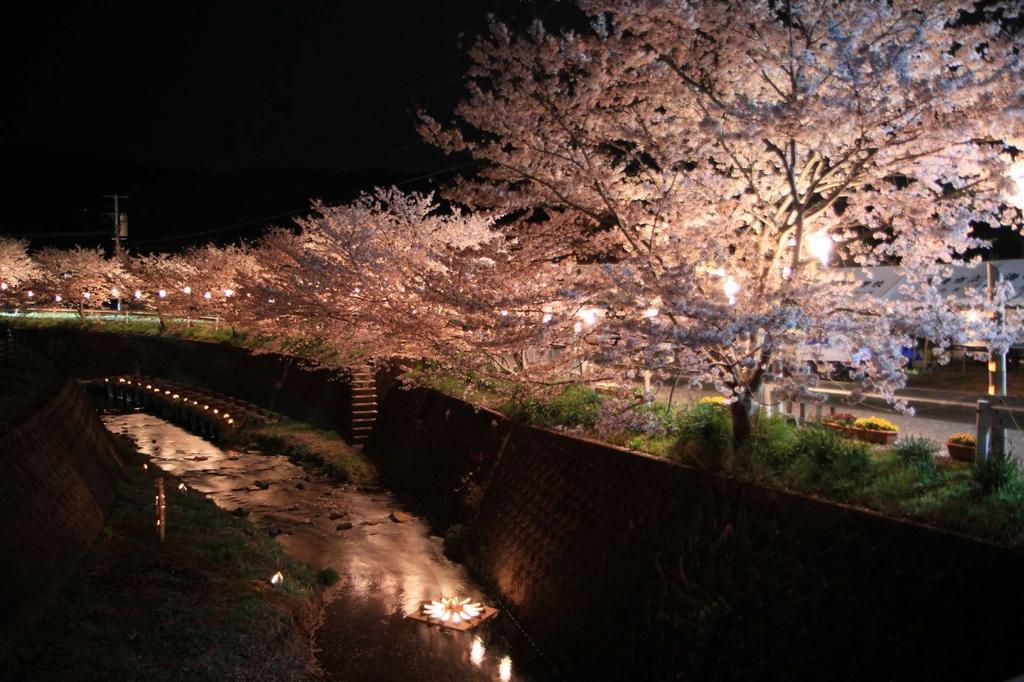 琴海花まつり イベント 公式 長崎観光 旅行ポータルサイト ながさき旅ネット