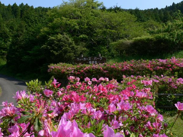 隠居岳（かくいだけ）公園（ウォーカーズパーク）-1