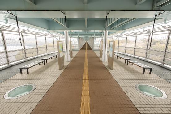 Saikai bashi Bridge Autumn Festival-3