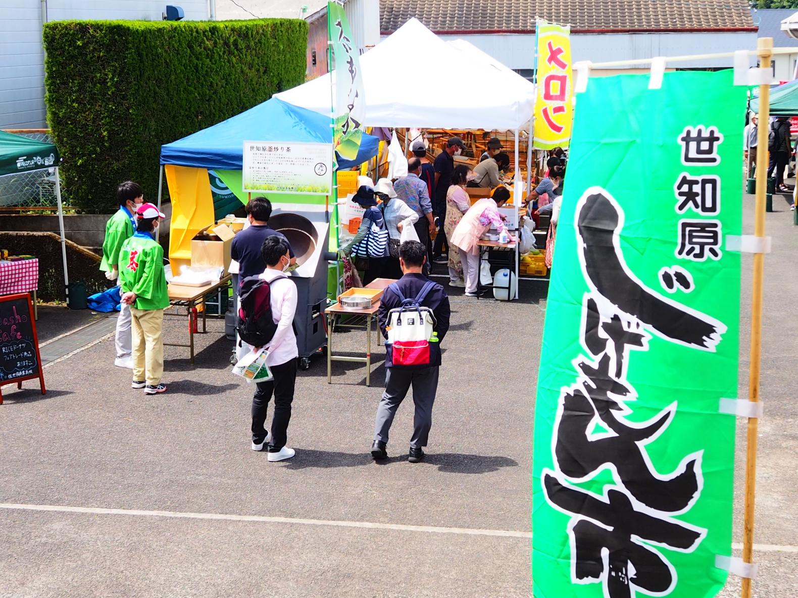 Sechibaru the First Tea of the Season Festival "Jigemon(locally grown) Fair"-0