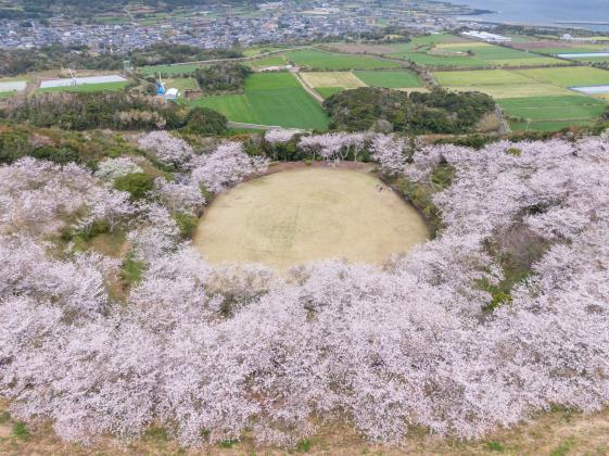 箕岳園地-1