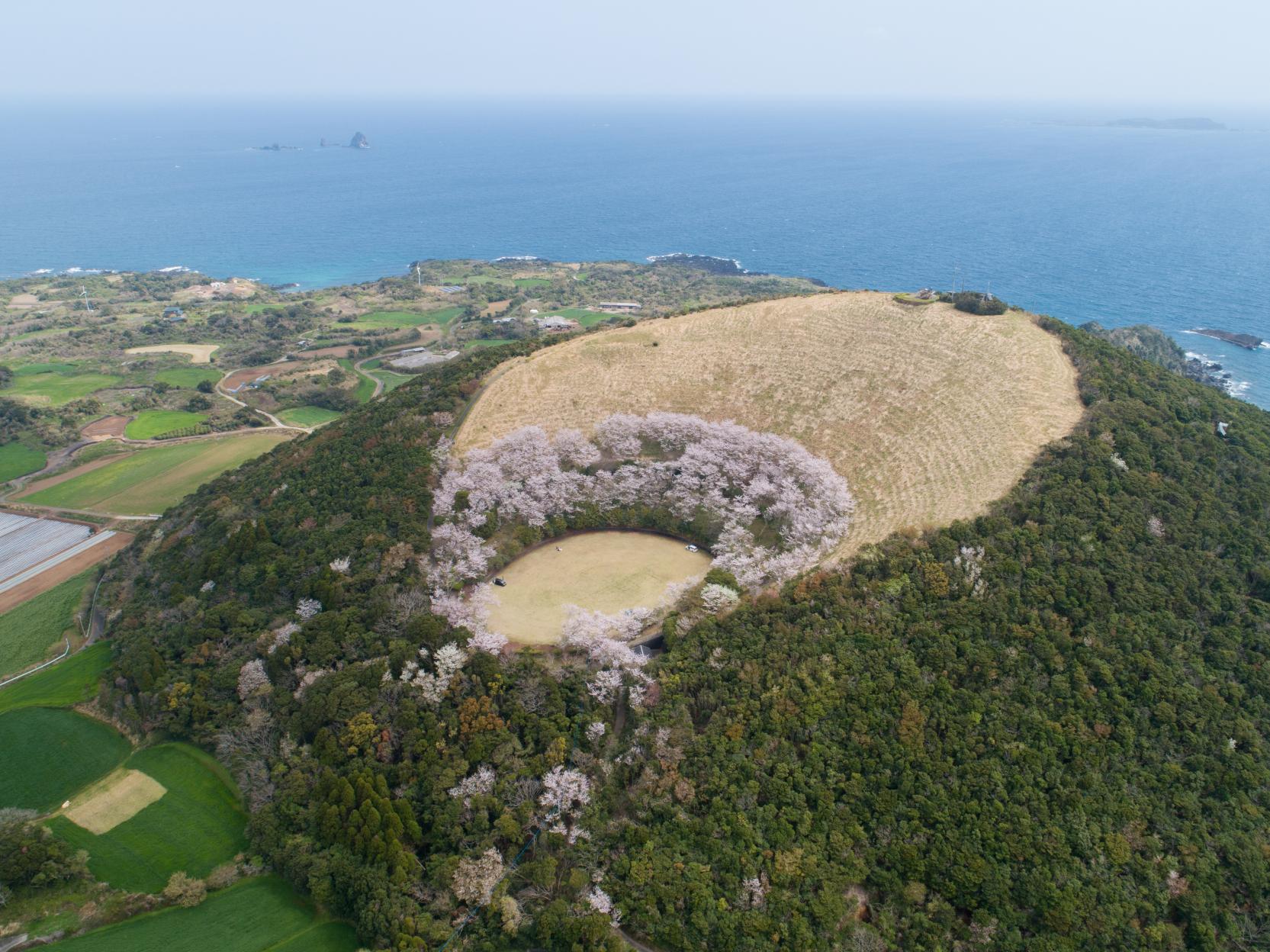 箕岳園地-4