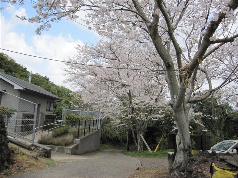 箕岳園地-2
