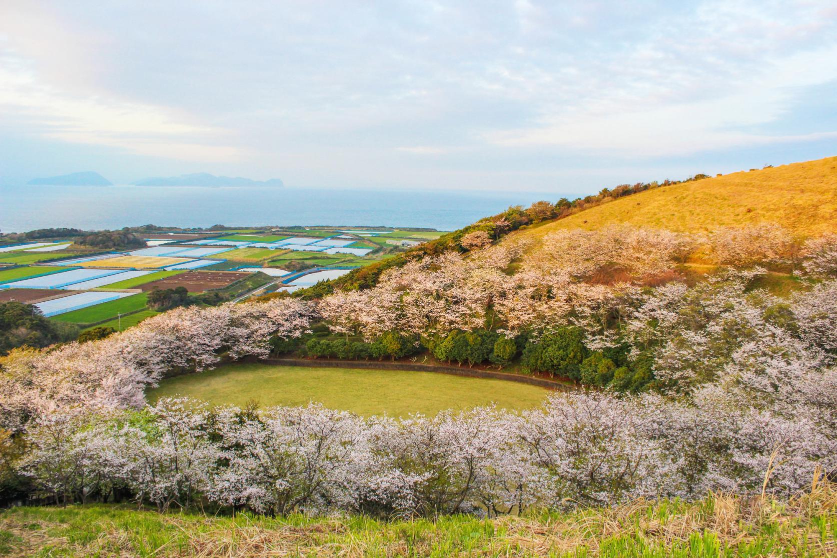 箕岳園地-1