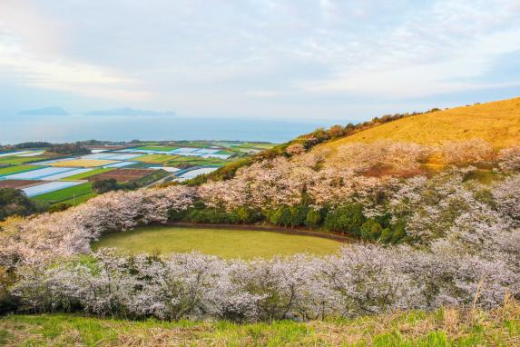 箕岳園地-0