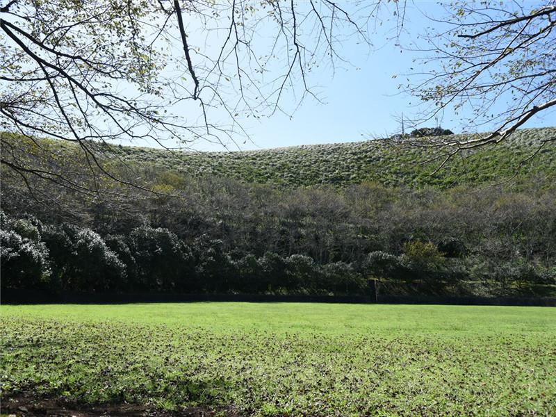 箕岳園地-4
