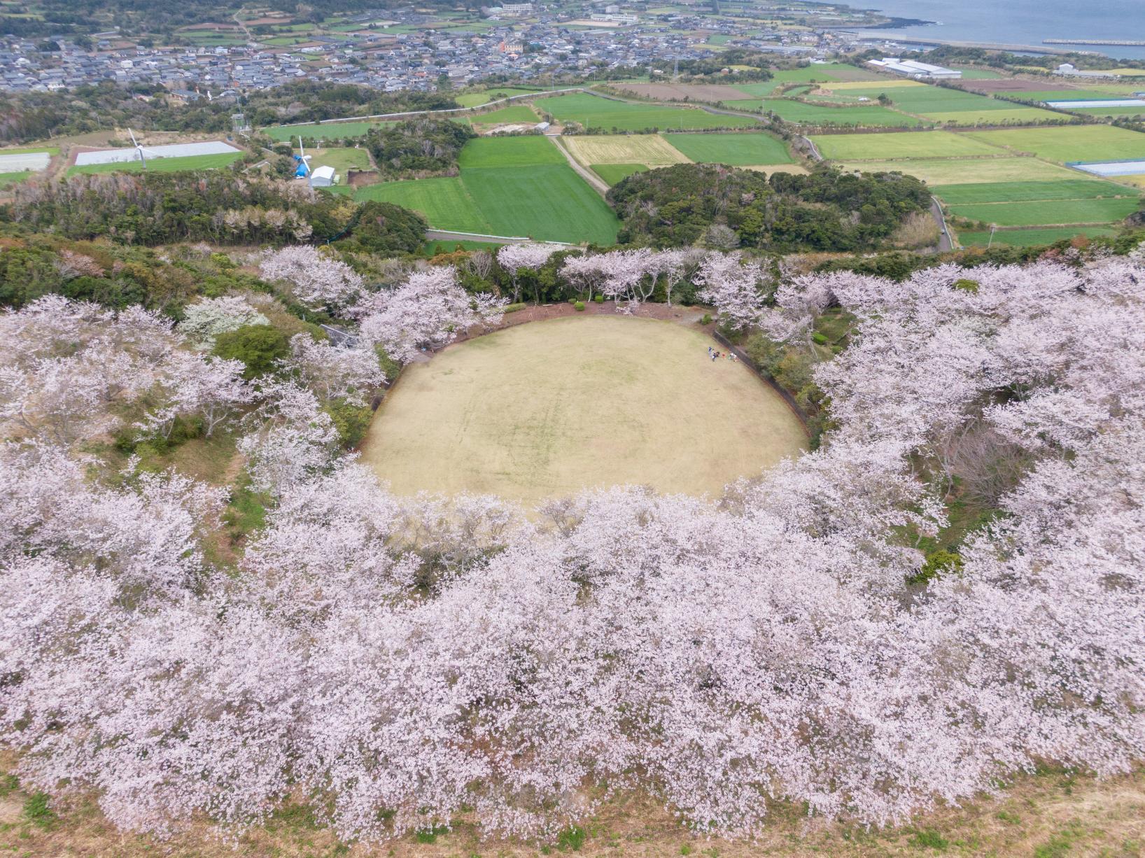 箕岳園地-2