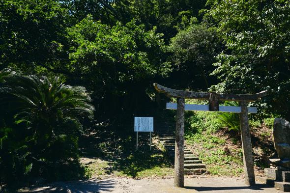 大山祇神社（玉之浦）/アコウの巨木-0