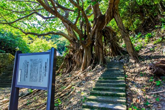 大山祇神社（玉之浦）-0