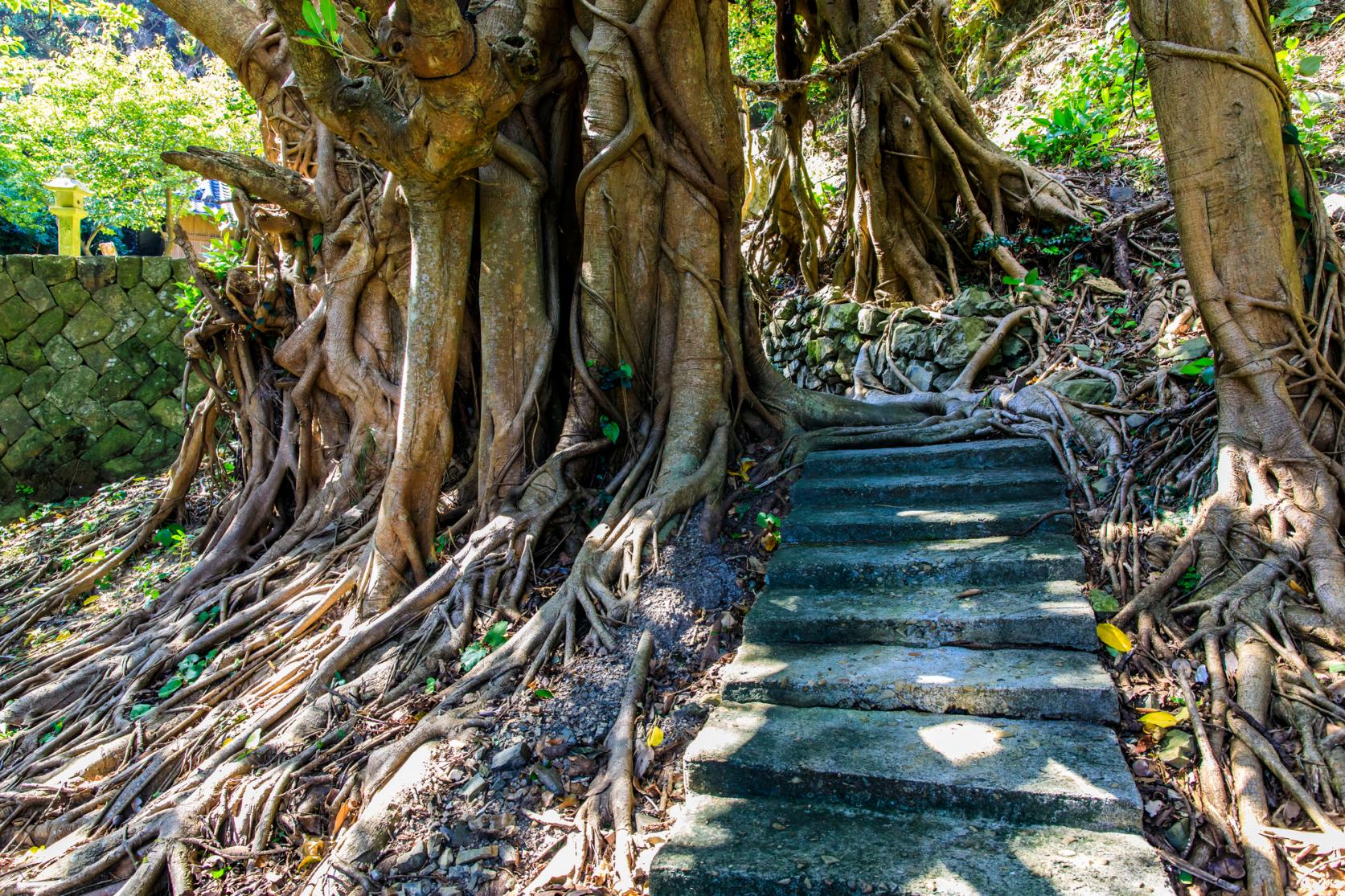 大山祇神社（玉之浦）-3