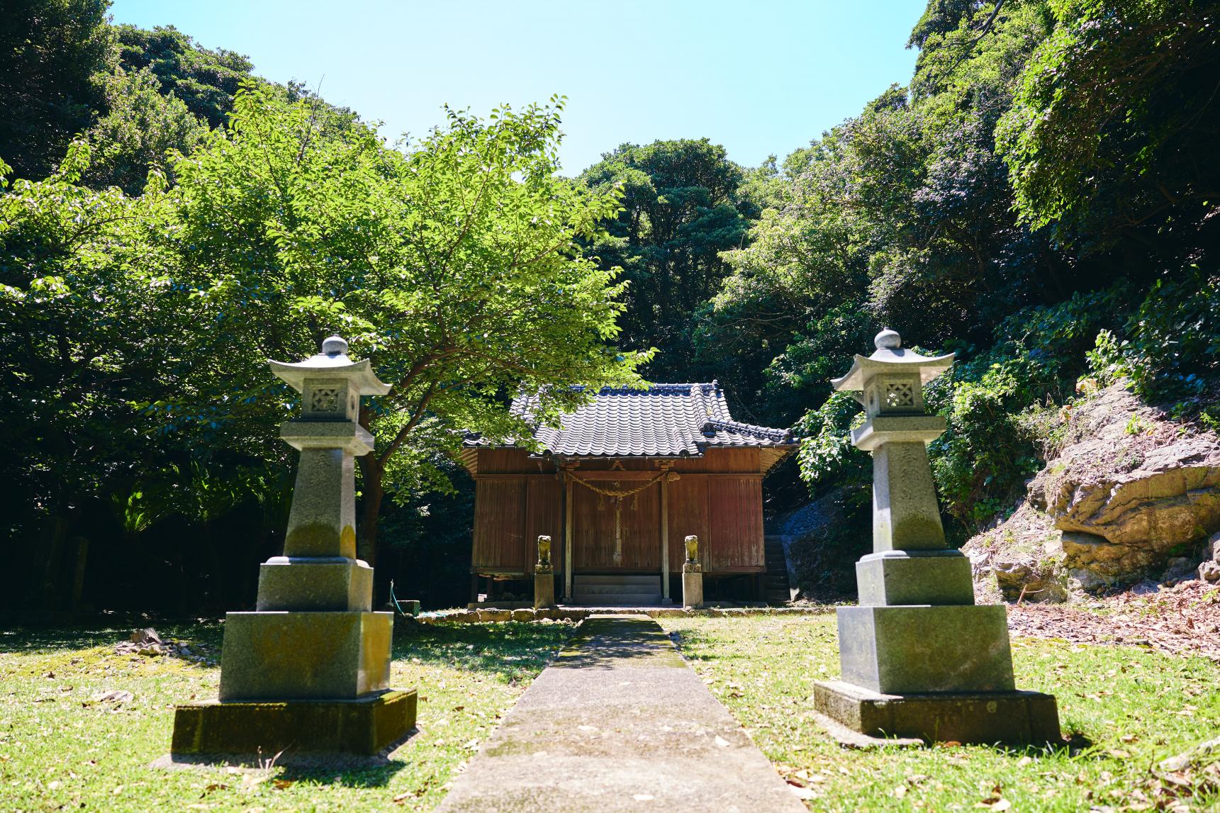 大山祇神社（玉之浦）/アコウの巨木-6