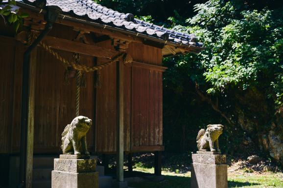 大山祇神社（玉之浦）/アコウの巨木-8