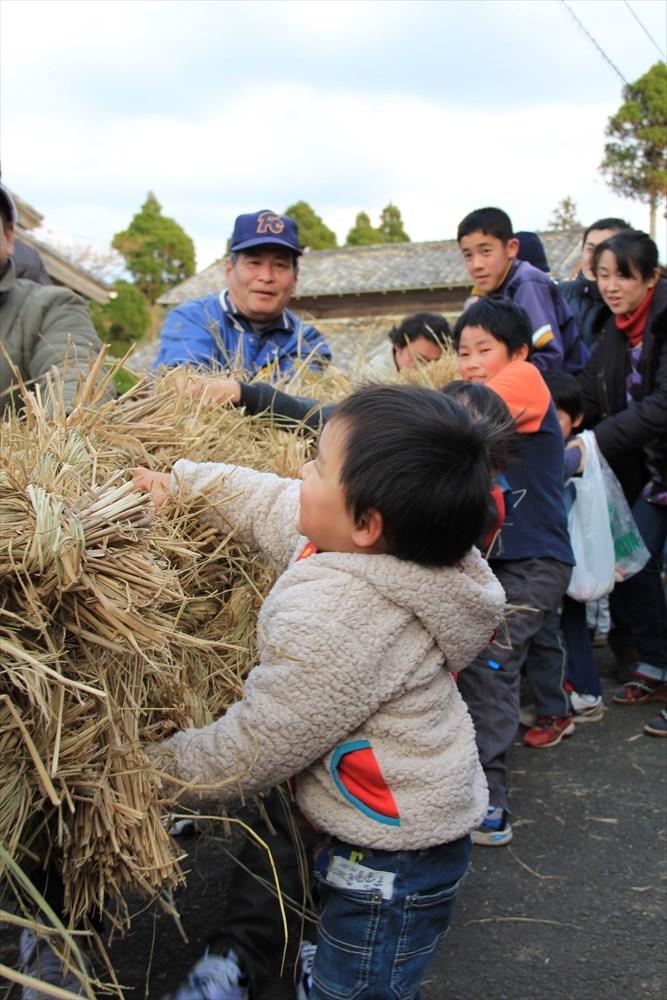 吉田の綱引き-0