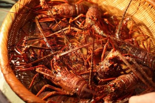 Hashima (Gunkanjima, Battleship Island） | See & Do | DISCOVER NAGASAKI ...