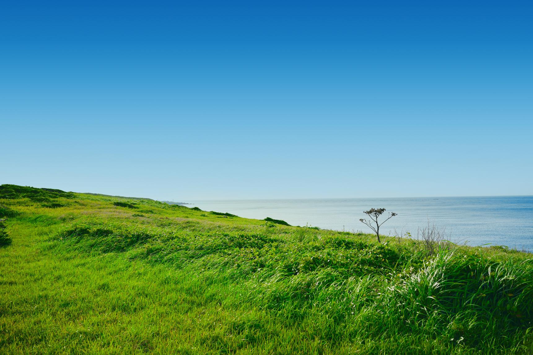 高崎鼻（高崎草原）-2