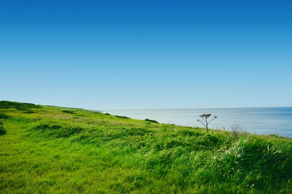 高崎鼻（高崎草原）-2