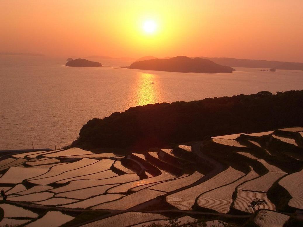 Doya Tanada (Rice Terrace)-1