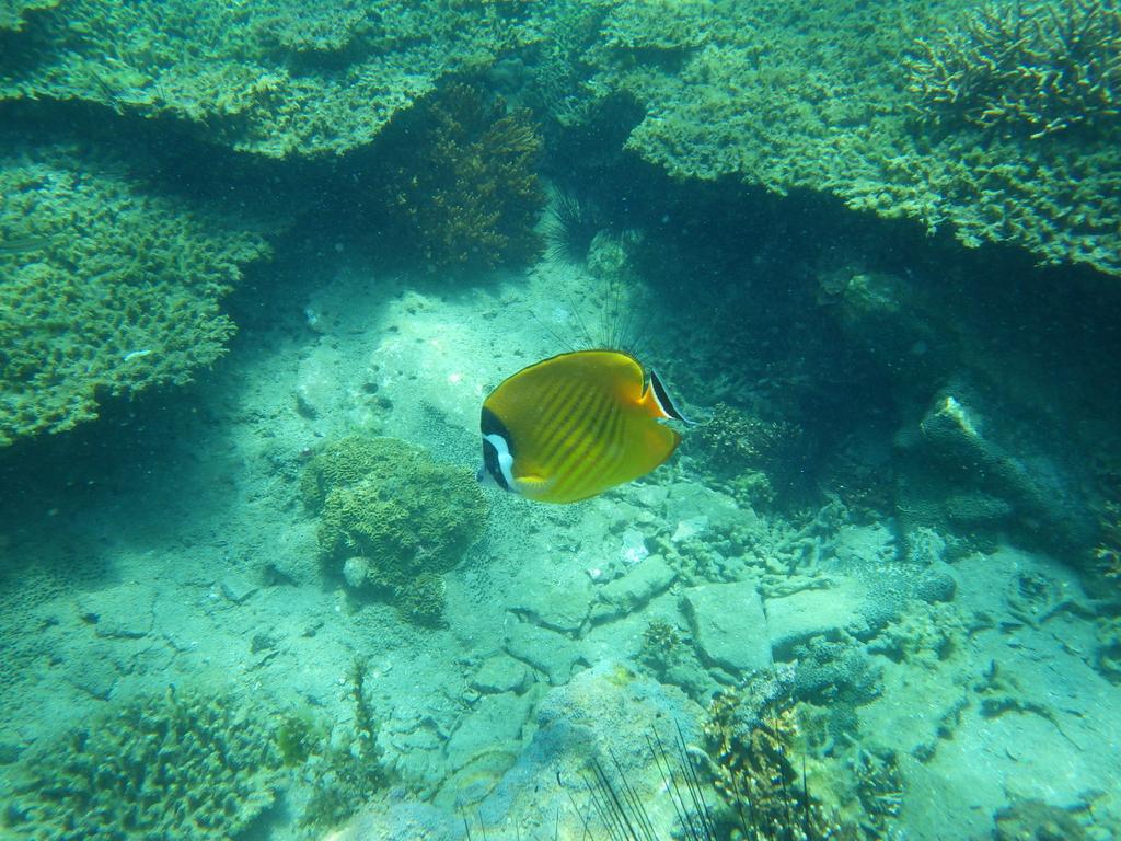 高島シュノ―ケリングピクニック-7