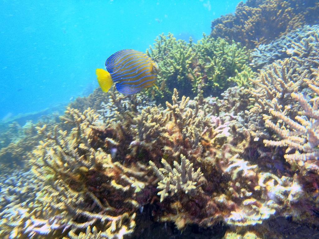 高島シュノ―ケリングピクニック-5