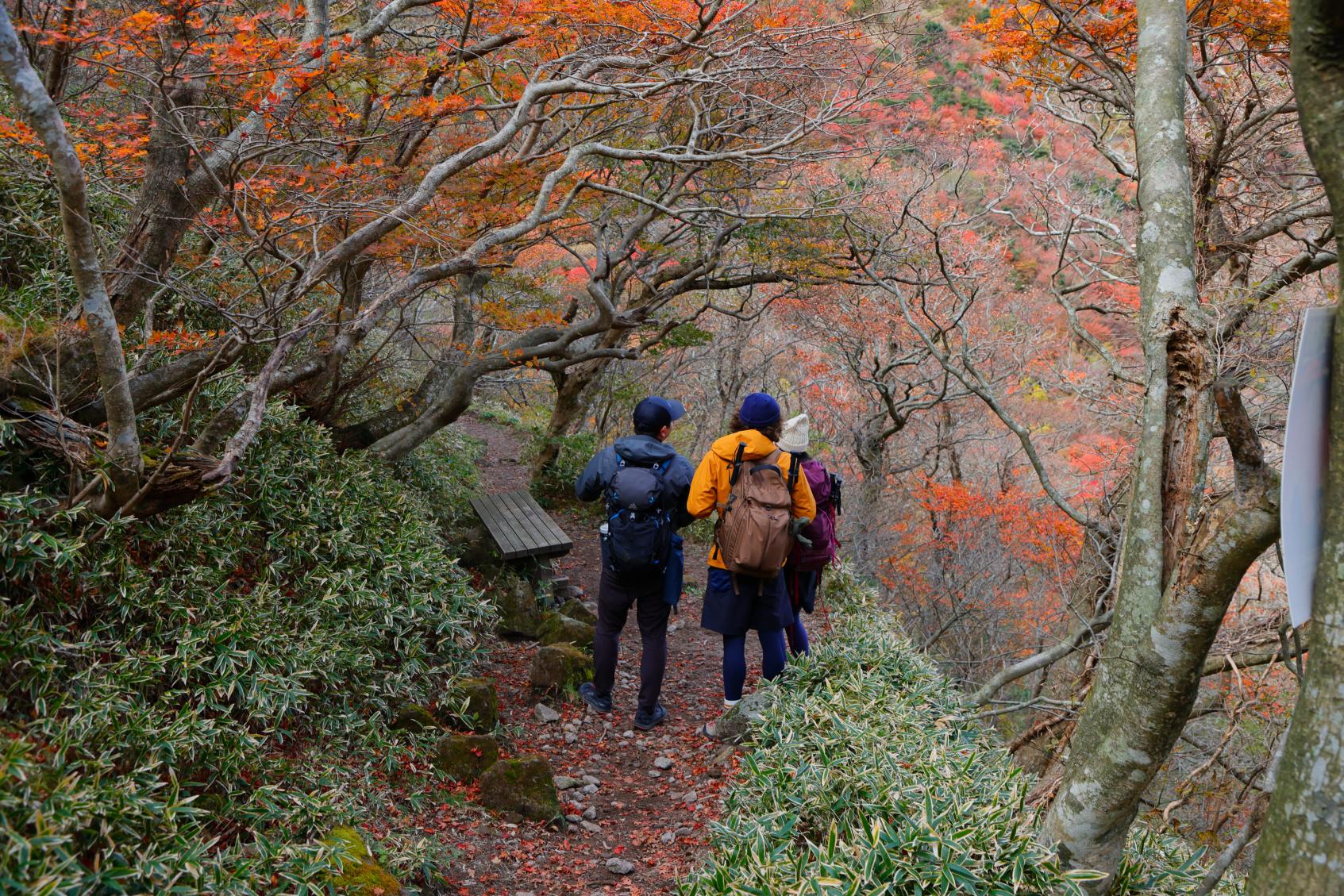 雲仙普賢岳-1