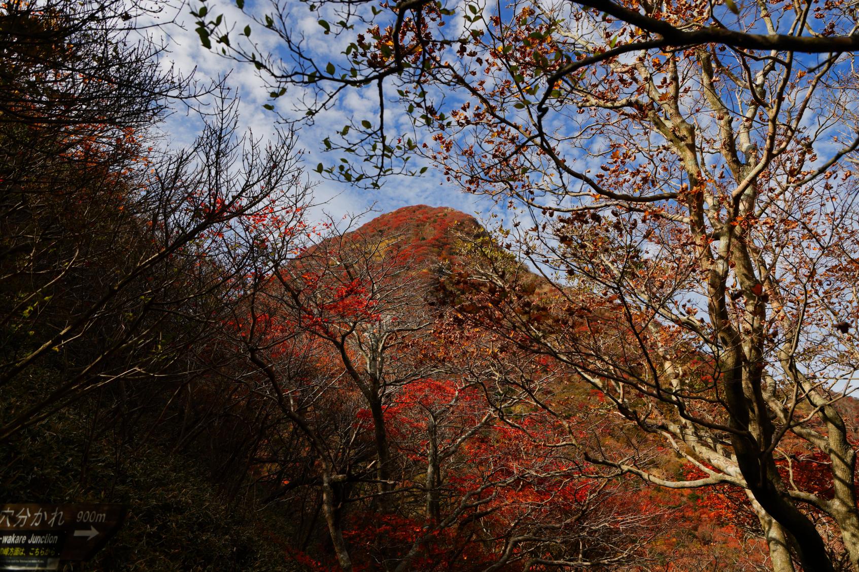 雲仙普賢岳-5