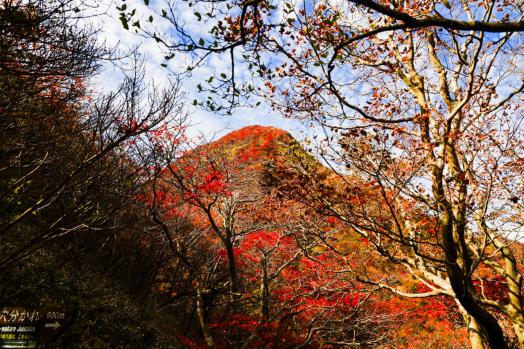 운젠 후겐다케 산 (雲仙普賢岳)-2