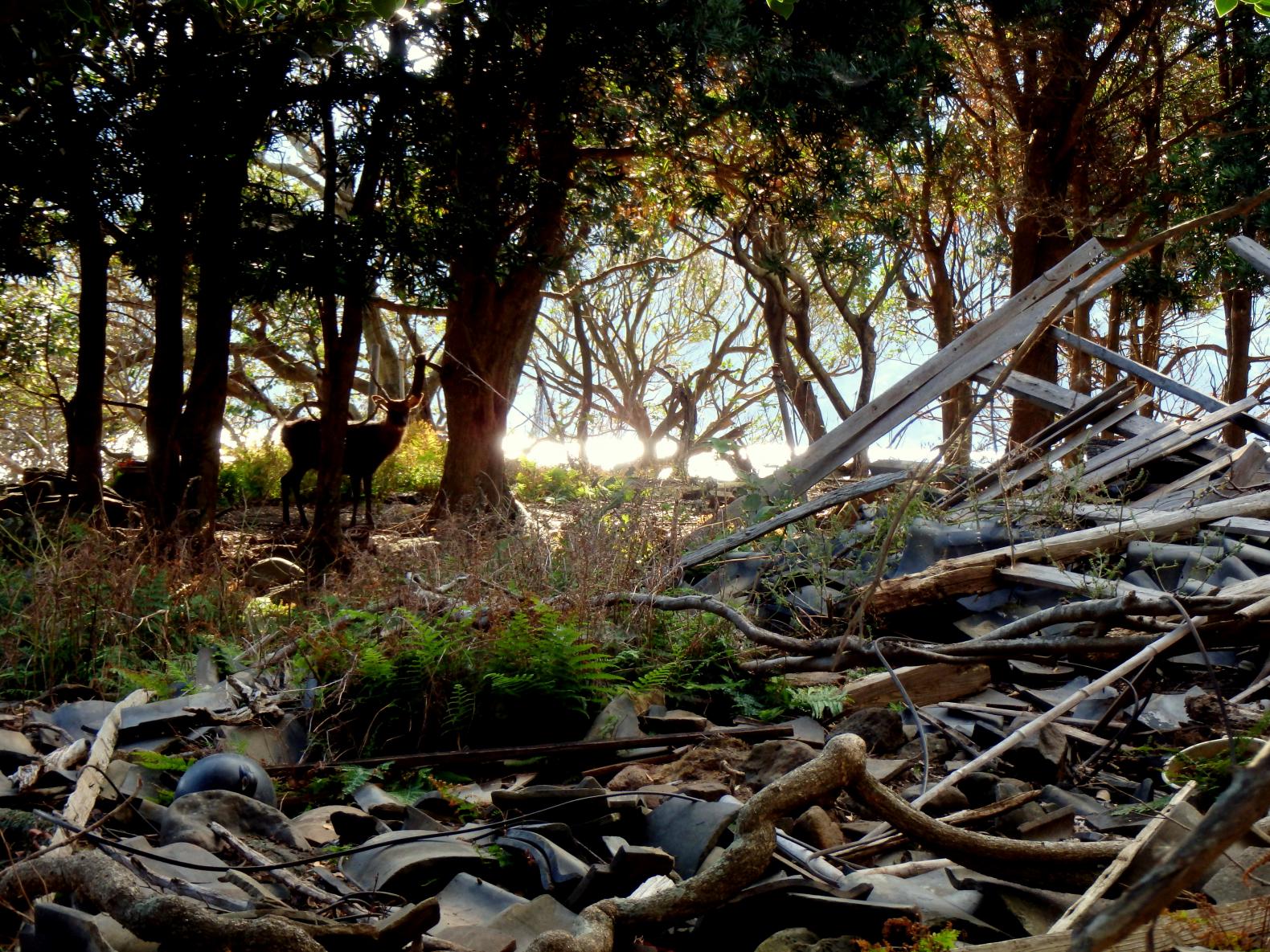 野崎島的村落遺跡-8