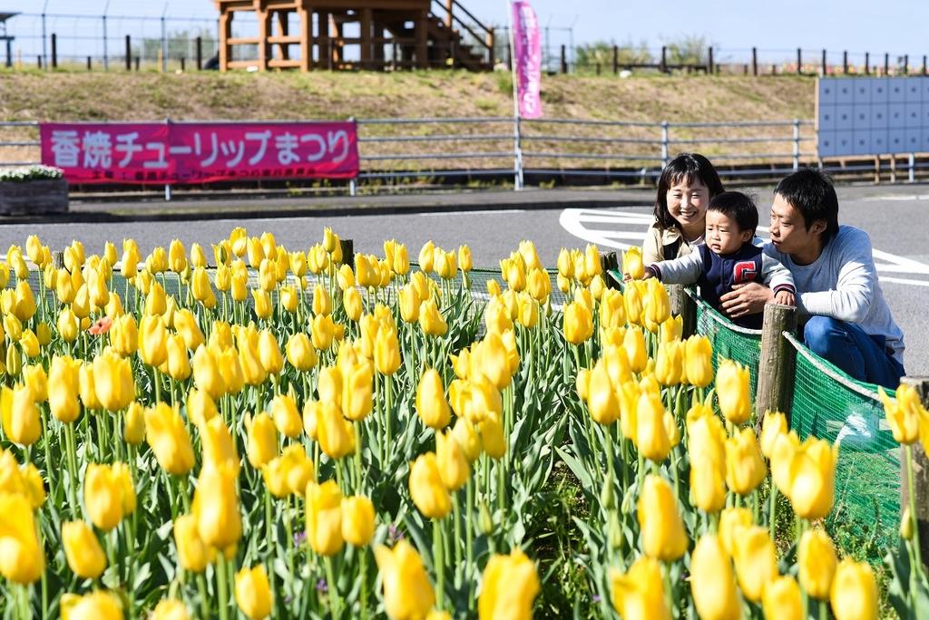 21年中止 ながさきみなみ香焼チューリップまつり イベント 公式 長崎観光 旅行ポータルサイト ながさき旅ネット