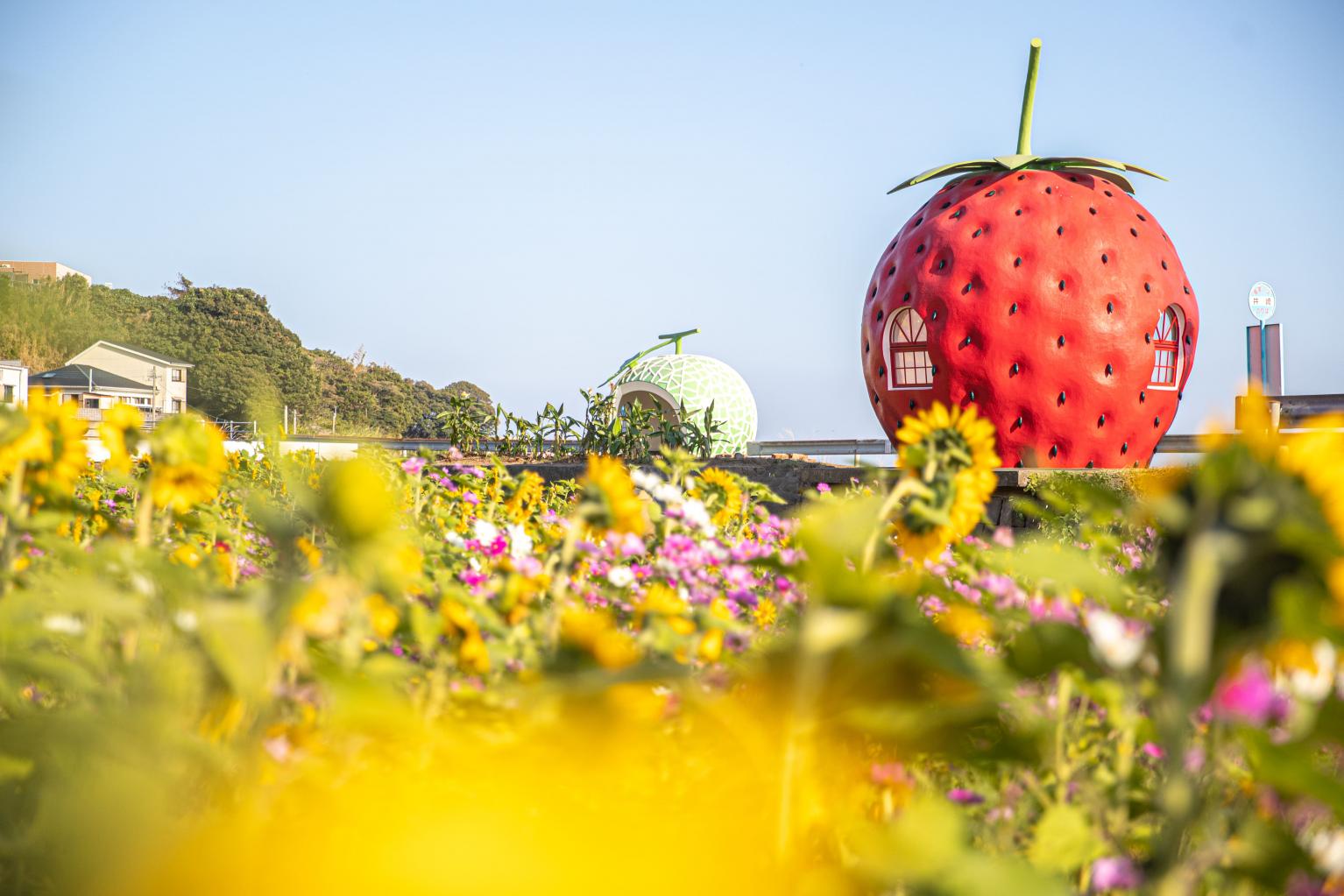 Fruit-Shaped Bus Stops-7