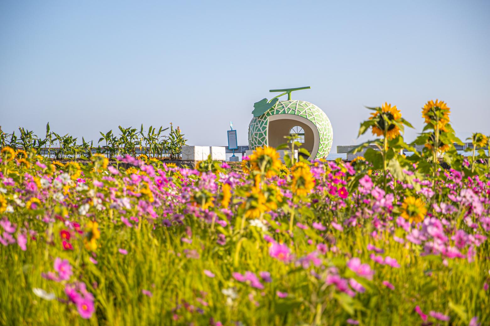 Fruit-Shaped Bus Stops-6