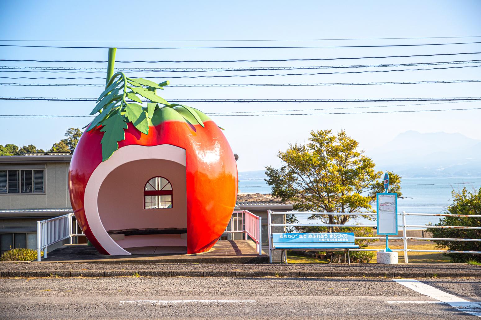 Fruit-Shaped Bus Stops-3