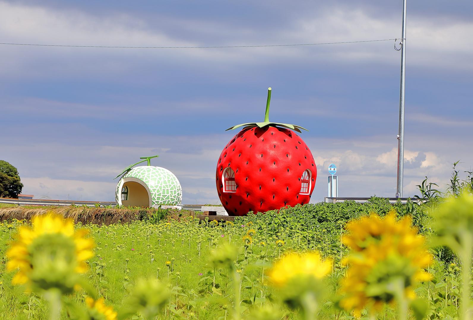 Fruit-Shaped Bus Stops