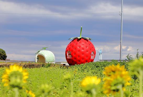 Fruit-Shaped Bus Stops-8