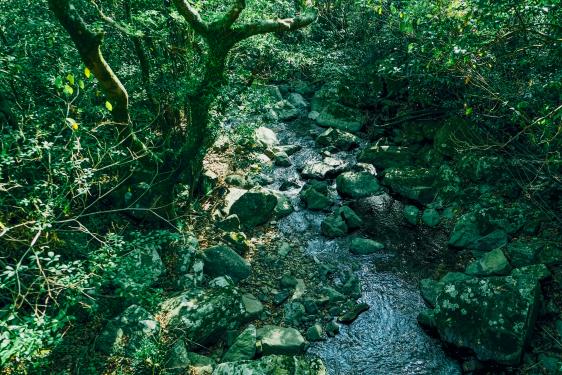 Senryu-ga-taki(Hidden Dragon Waterfall) Park-6