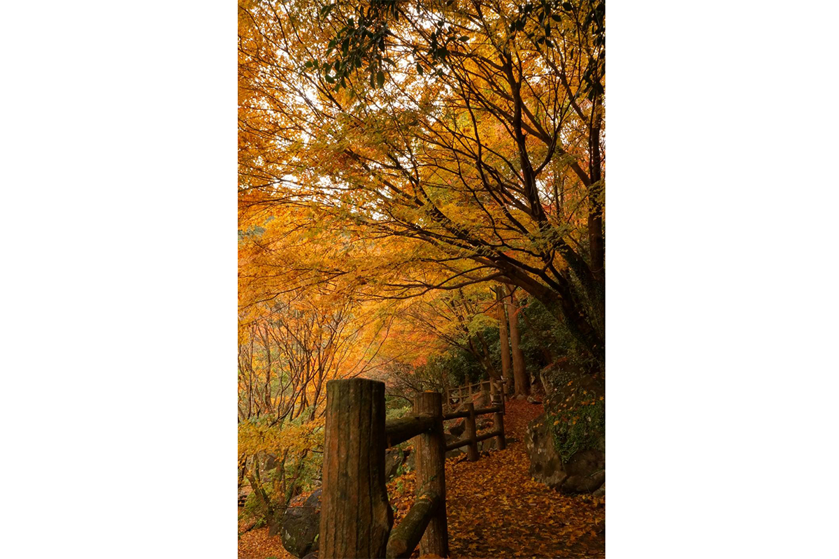 Senryu-ga-taki(Hidden Dragon Waterfall) Park-9
