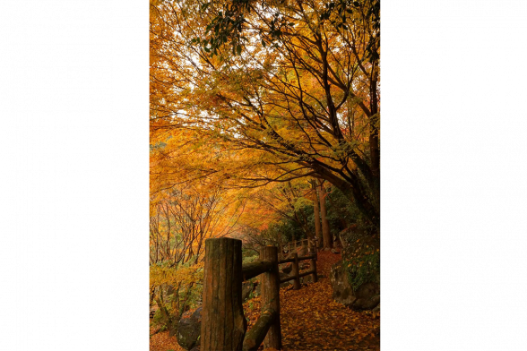 Senryu-ga-taki(Hidden Dragon Waterfall) Park-9