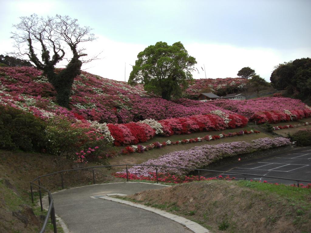 長串山公園 観光スポット 公式 長崎観光 旅行ポータルサイト ながさき旅ネット