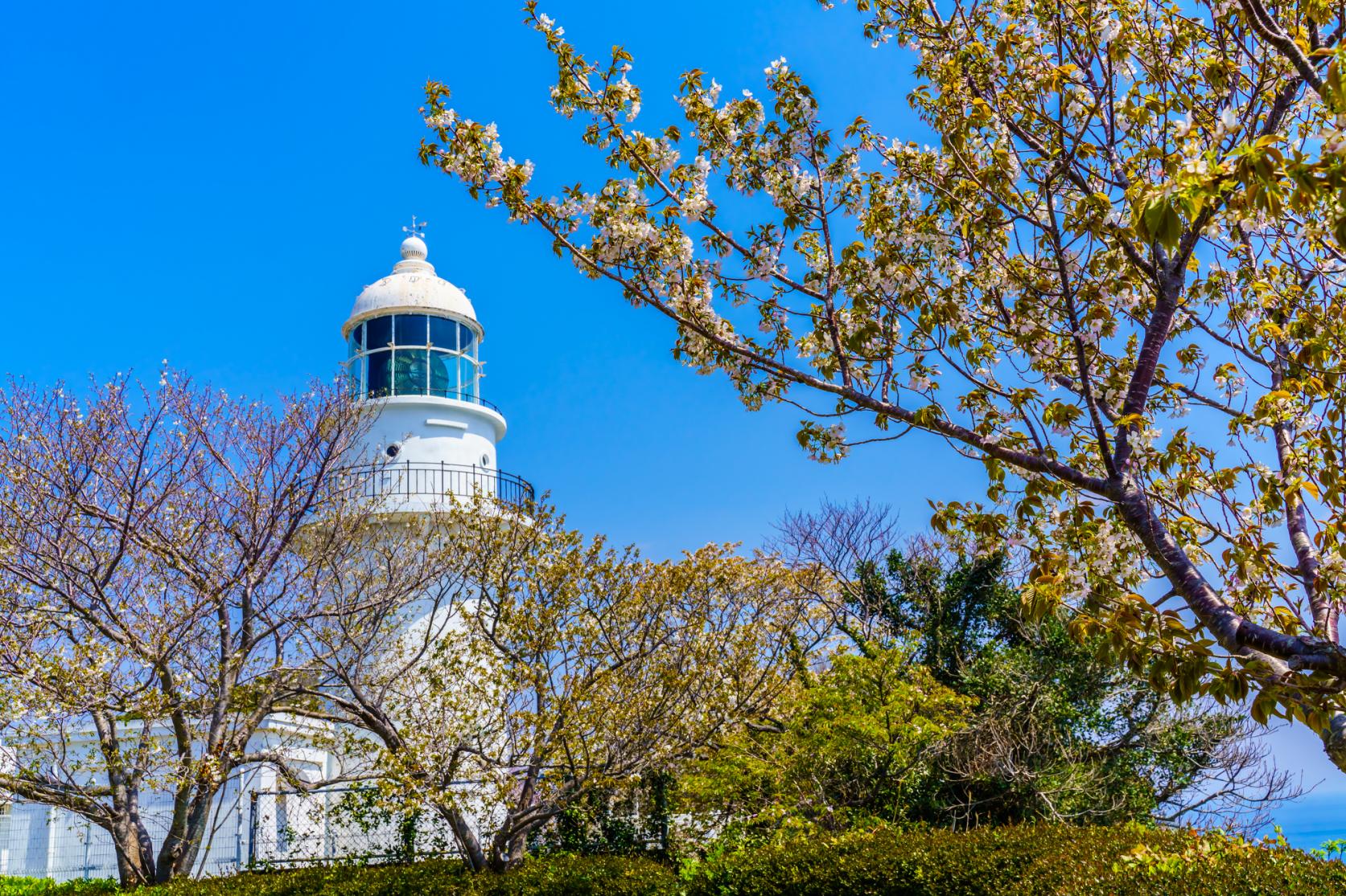 樺島灯台公園-1