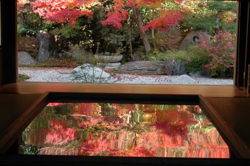 寿福寺「逆さ紅葉」-3