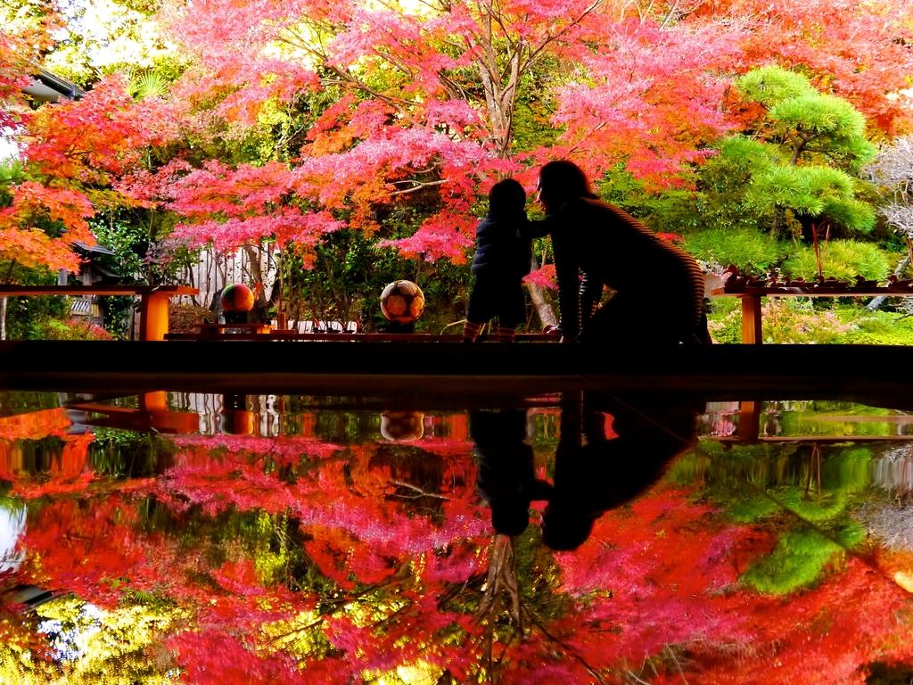 寿福寺 逆さ紅葉 イベント 公式 長崎観光 旅行ポータルサイト ながさき旅ネット
