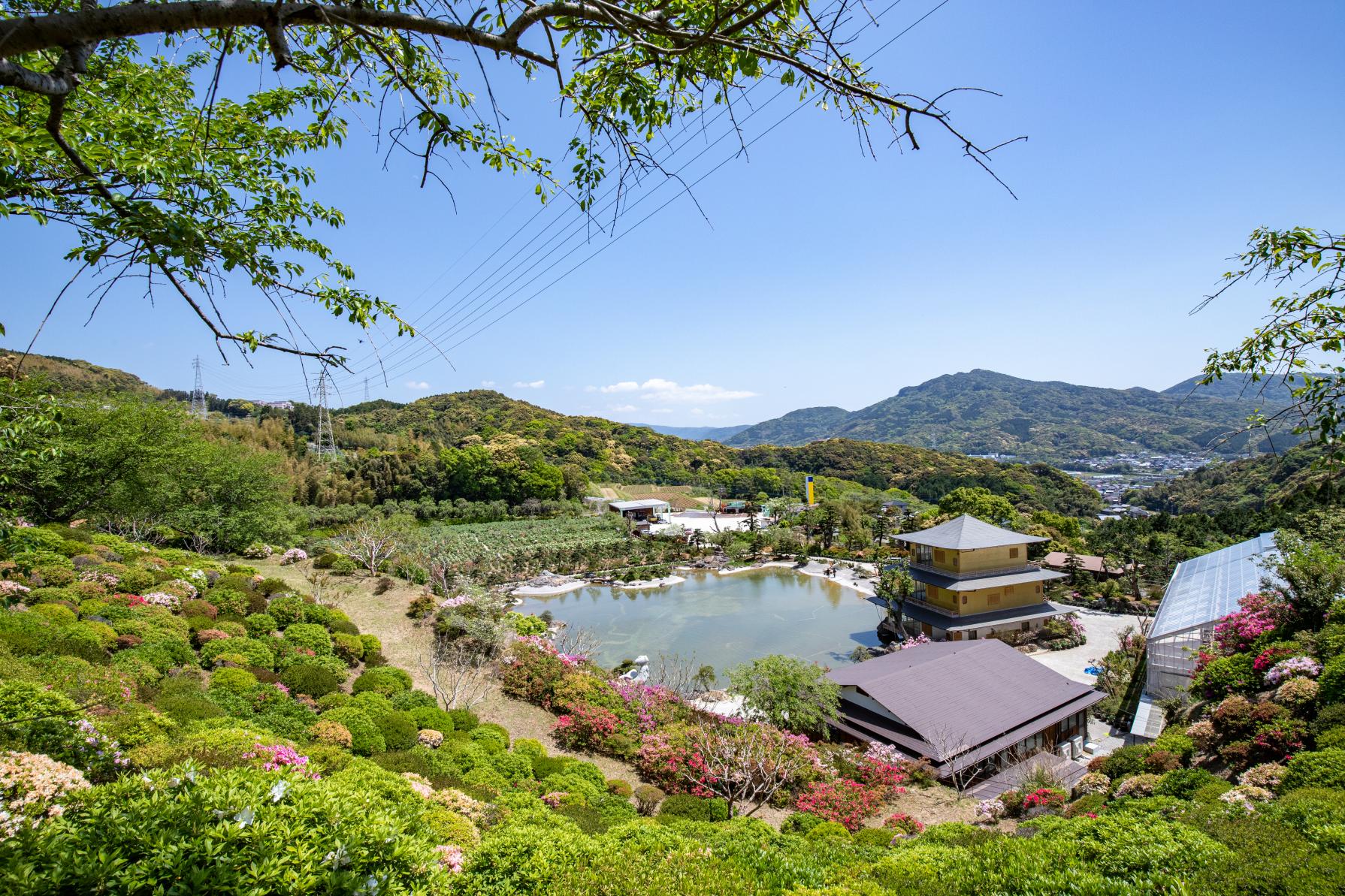 사세보 화원-2