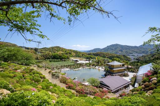 사세보 화원-2