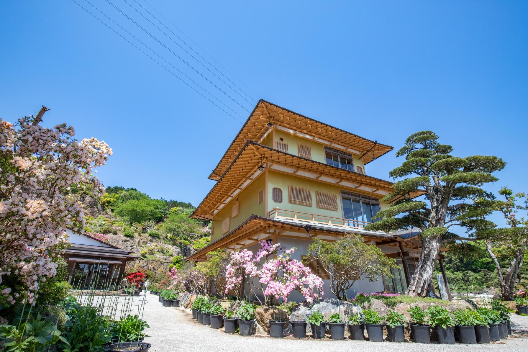 사세보 화원-3