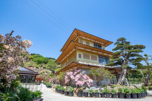 사세보 화원-3