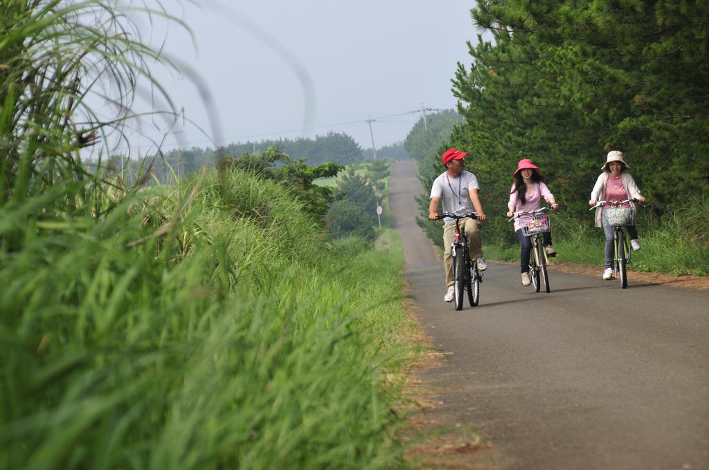 サイクリングガイドツアー-1